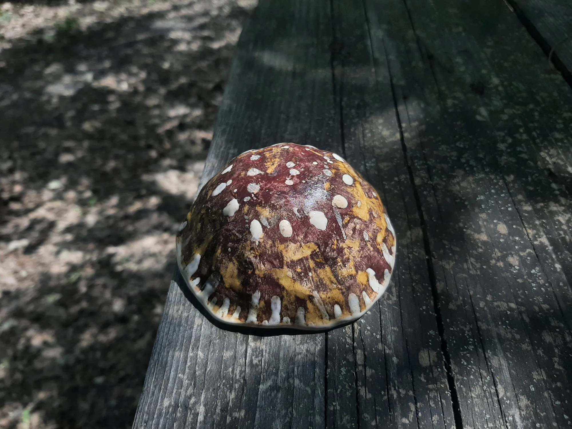 Unnamed — photo 1/3